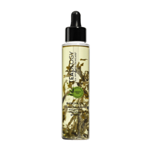 Teaology Bancha Oil 100 ml